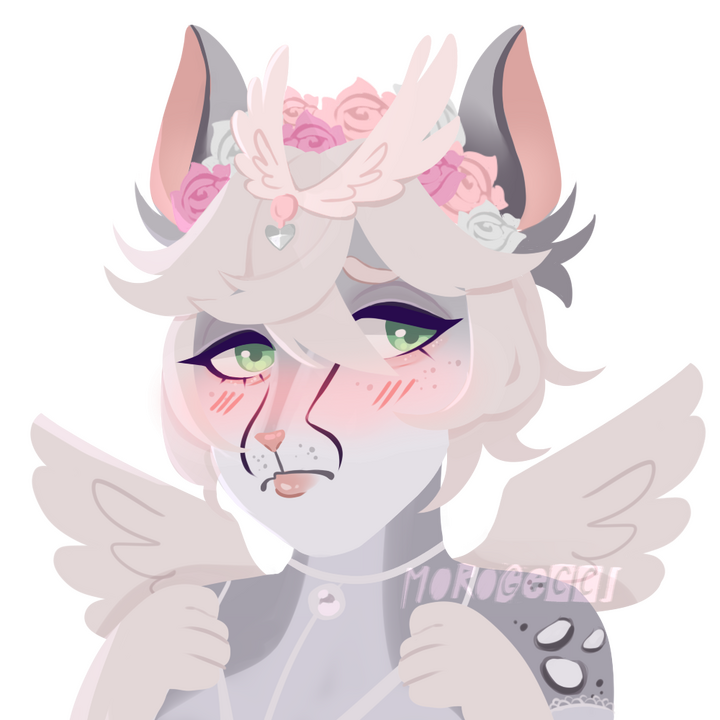 Icon ✩ 15 USD